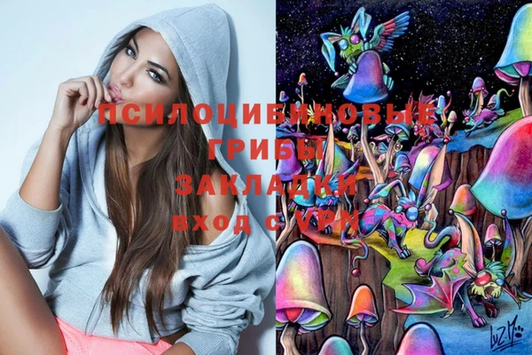 мет Новозыбков