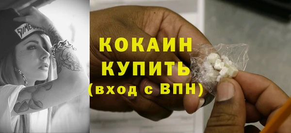 мдпв Новодвинск