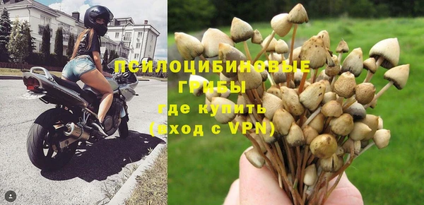MESCALINE Новокубанск