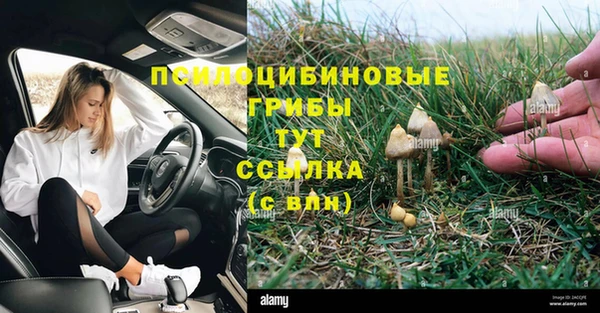 мет Новозыбков