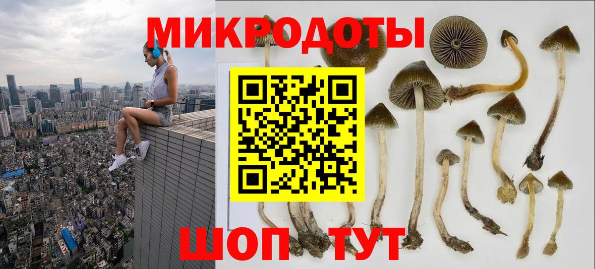 Галлюциногенные грибы MAGIC MUSHROOMS Черкесск