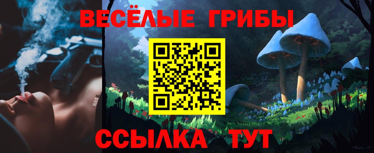Галлюциногенные грибы Cubensis  Вход с VPN  Черкесск 